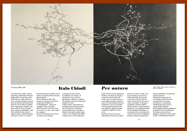 Rivista 109_Italo Chiodi. Per natura Rivista 109_Italo Chiodi. Per natura