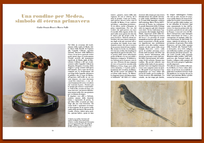 Rivista 124_Una rondine per Medea Rivista 124_Una rondine per Medea